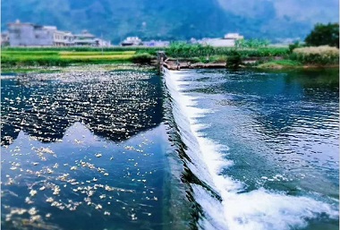 补充碳源，你选对了吗？