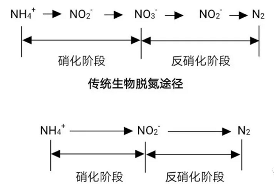 1633681151(1).jpg