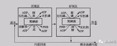 除磷1.jpg