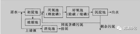 除磷4.jpg