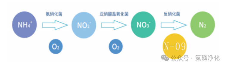 b1dbc20f0159293a988f1c77493c35be.png b1dbc20f0159293a988f1c77493c35be.png